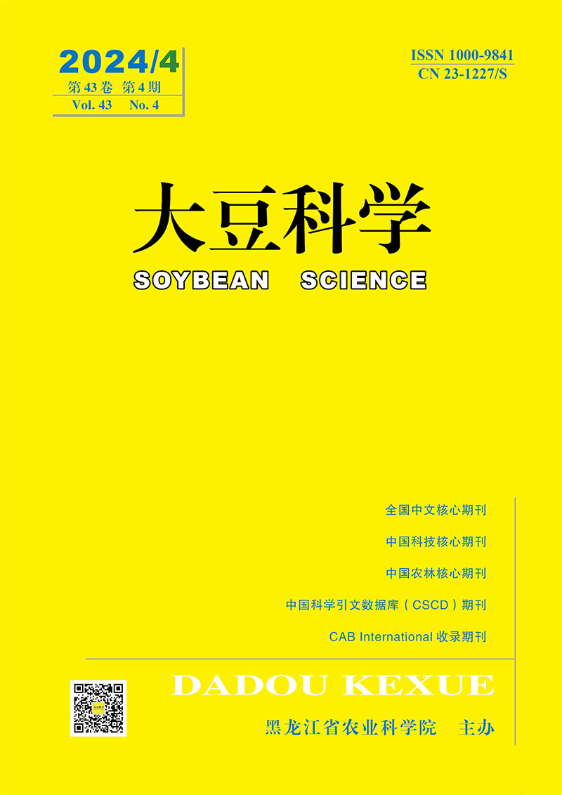 Current Issue Cover