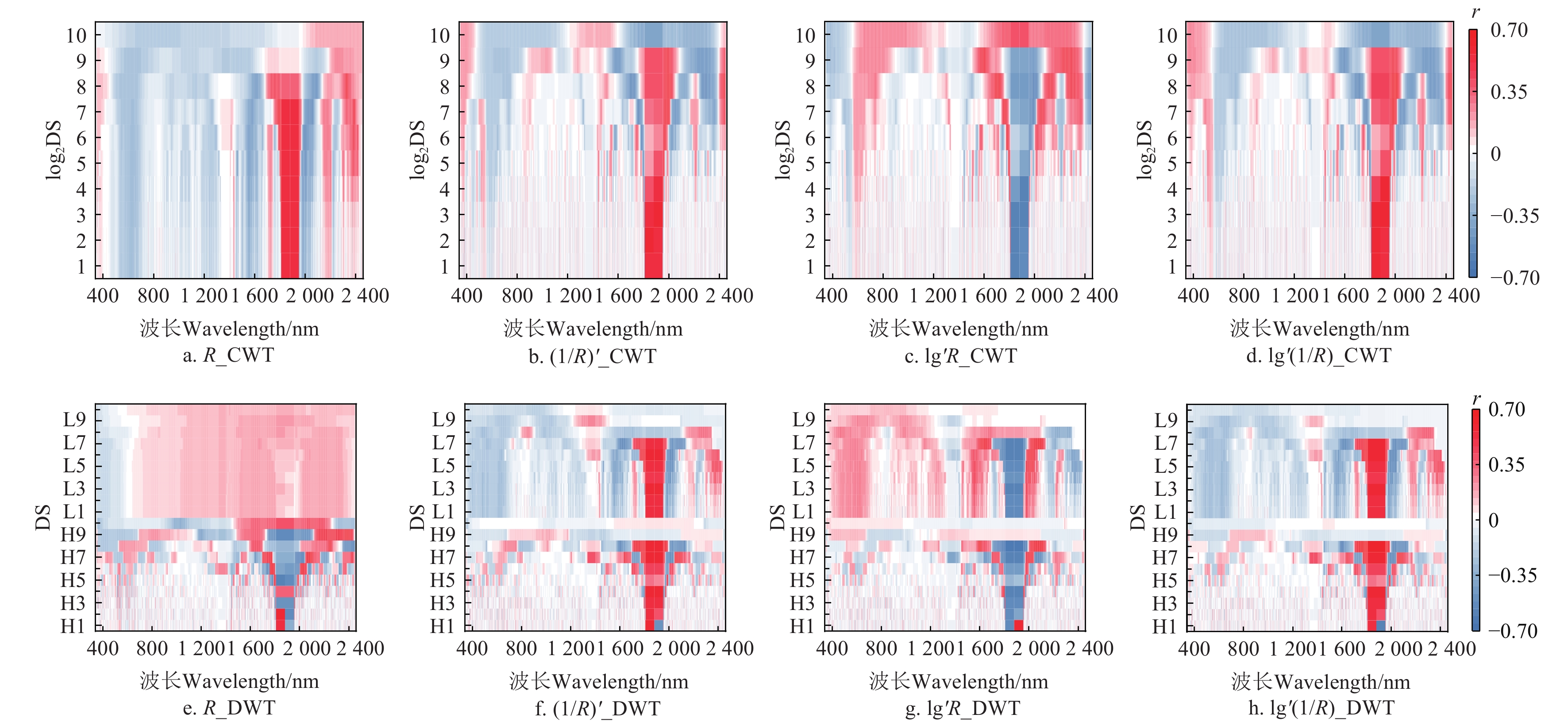 4种连续小波变换和离散小波变换处理方式下小波系数与SSC的相关性