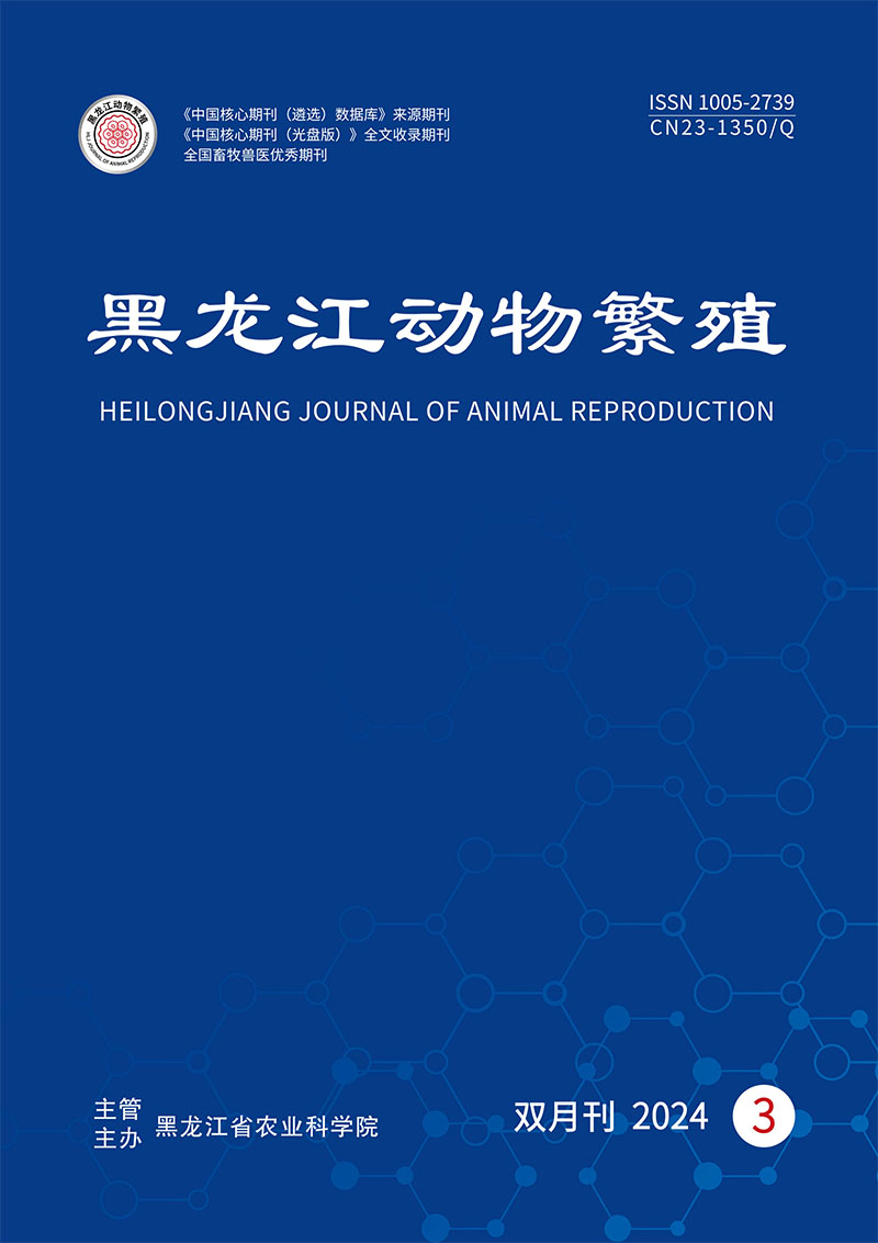 Current Issue Cover