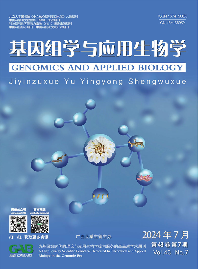 Current Issue Cover