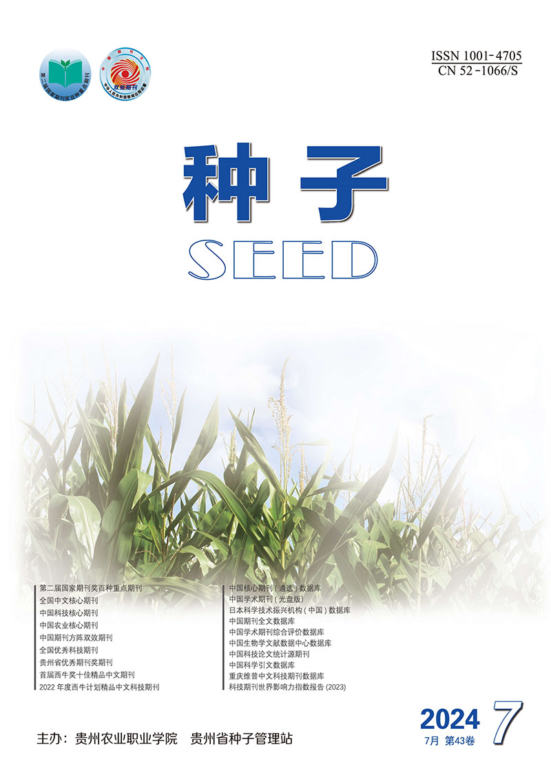 Current Issue Cover